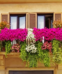 Flowers Balcony Landscape paint by numbers