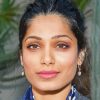 Freida Pinto paint by numbers