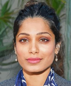 Freida Pinto paint by numbers