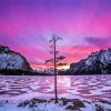 Frozen Tree Lake Sunset Landscape paint by numbers