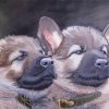 German Shepherd Puppies paint by numbers