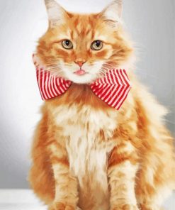 Ginger Cat With Bow Tie paint by numbers