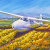 Glider Airplane Paint By Numbers