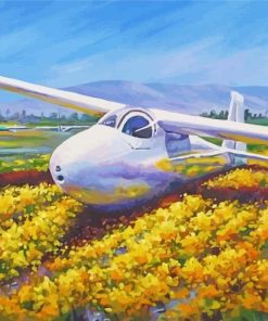 Glider Airplane Paint By Numbers