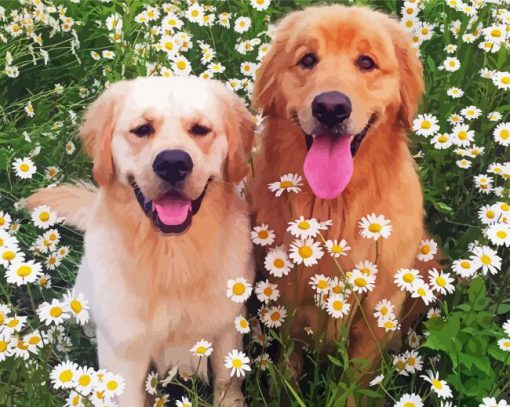 Golden Retriever In Daisies Field paint by numbers