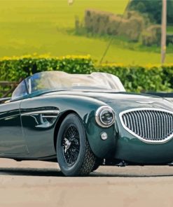 Green Austin Healey Car paint by numbers