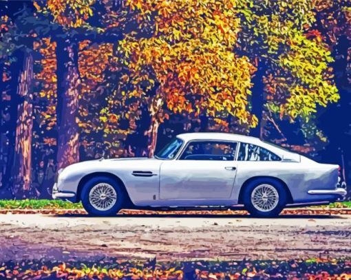 Grey Aston Martin DB5 Car paint by numbers