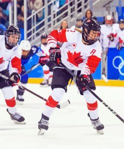 Hockey Canada Players Paint By Numbers