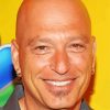 Howie Mandel paint by numbers