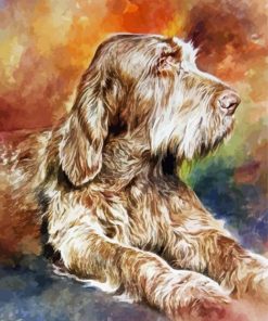 Italian Spinone Art Paint by numbers