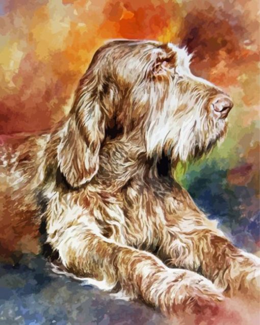 Italian Spinone Art Paint by numbers