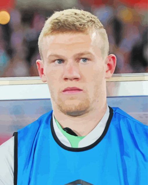 James McClean Paint By Numbers