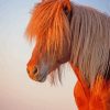 Light Brown Horse Sunset paint by numbers