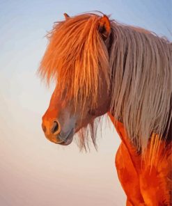 Light Brown Horse Sunset paint by numbers