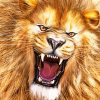 Lion Roaring Art paint by numbers