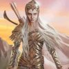 Lord Of The Rings Galadriel Warrior paint by numbers