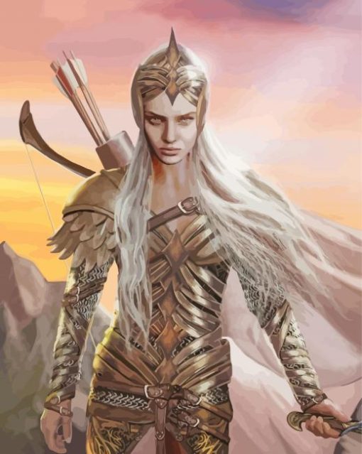 Lord Of The Rings Galadriel Warrior paint by numbers