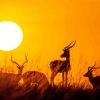 Maasai Mara Deer Silhouette paint by numbers