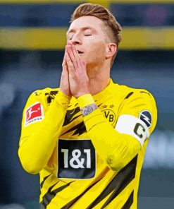 Marco Reus Borussia Dortmund Player paint by numbers