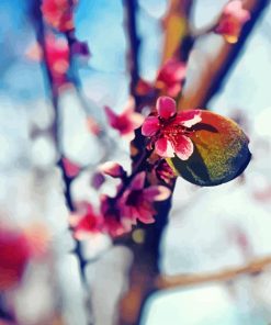 Peach And Peach Blossoms paint by numbers