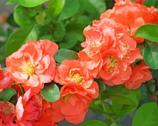 Peach Flowers paint by numbers