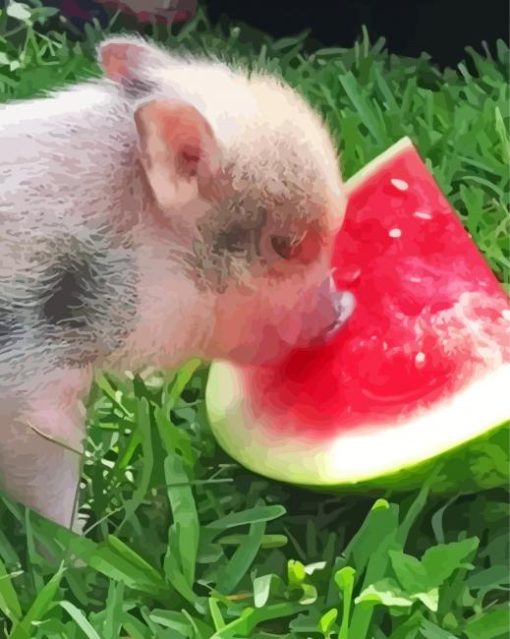 Aesthetic Pig Eating Watermelon paint by numbers