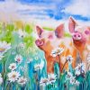 Pigs And Daisies In Field paint by numbers