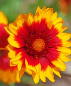 Red And Yellow Wildflowers paint by numbers