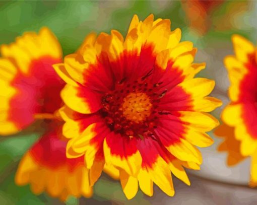 Red And Yellow Wildflowers paint by numbers