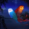 Red And Blue Bird Owls On Branch paint by numbers