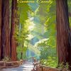 Redwoods Sonoma Poster paint by numbers