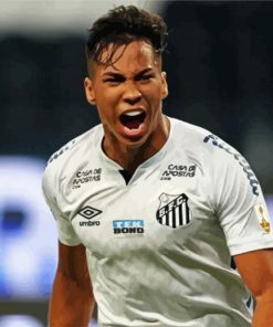 Santos FC Player paint by numbers