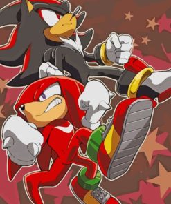 Shadow And Knuckles Characters paint by numbers