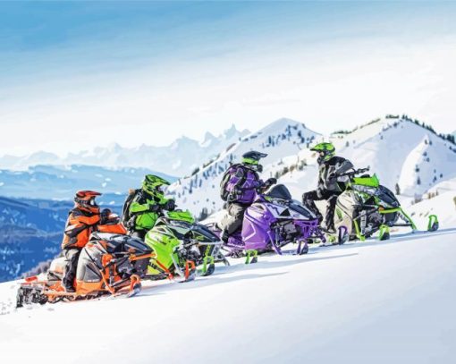 Snowmobile Riders paint by numbers