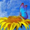 Sunflower With Blue Butterfly paint by numbers