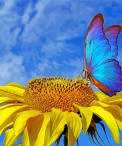 Sunflower With Blue Butterfly paint by numbers