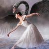 Swan Lake Ballerina Girl Dancer paint by numbers