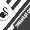 Swansea City AFC paint by numbers