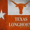 Texas Longhorn Flag Poster paint by numbers