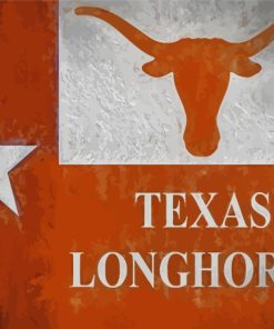 Texas Longhorn Flag Poster paint by numbers