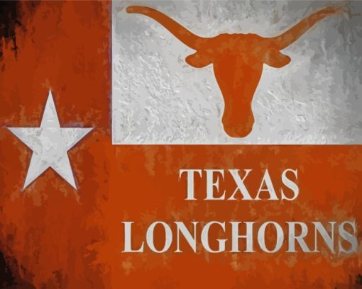 Texas Longhorn Flag Poster paint by numbers