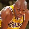 Van Exel paint by numbers