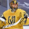 Vegas Golden Knights Player Sport paint by numbers