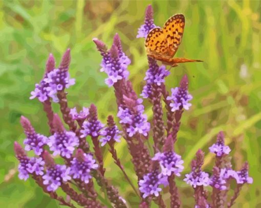 Vervain Purple Flowers paint by numbers