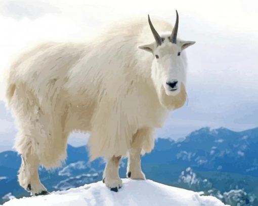 White Mountain Goat paint by numbers