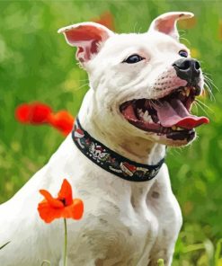 White Staffy Dog paint by numbers