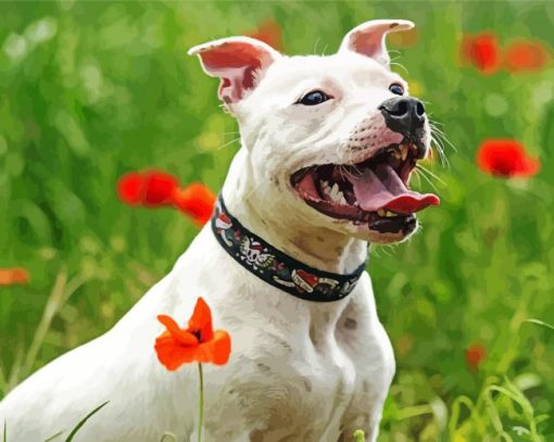 White Staffy Dog paint by numbers