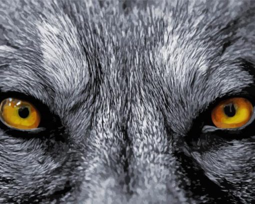 Yellow Wolf Eyes paint by numbers