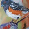 Abstract Towhee paint by numbers