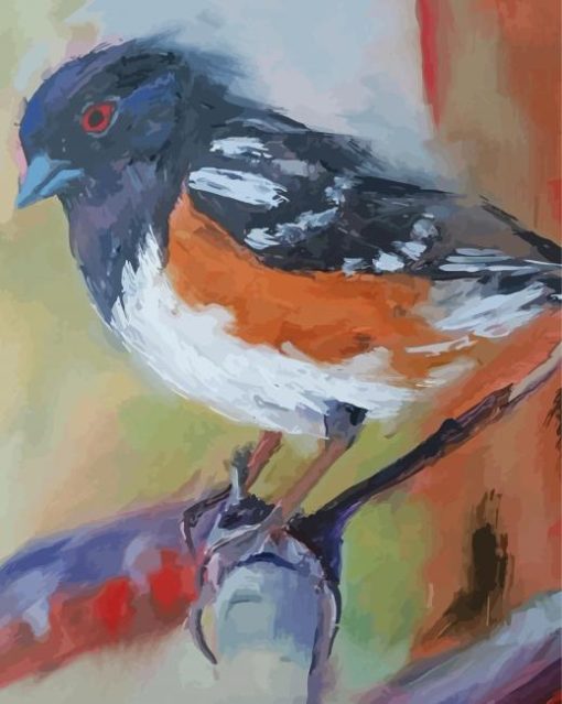 Abstract Towhee paint by numbers